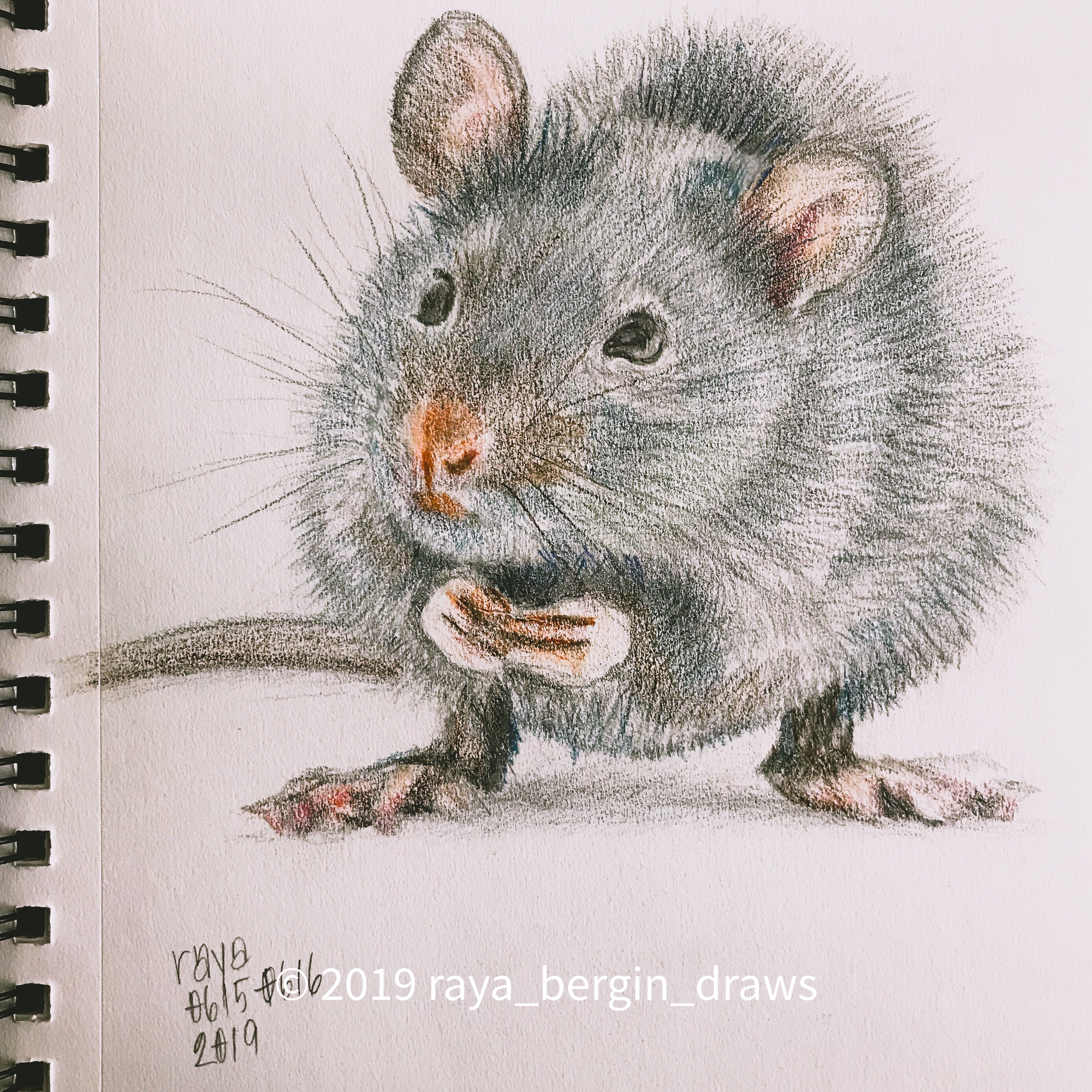 Color drawing Remy